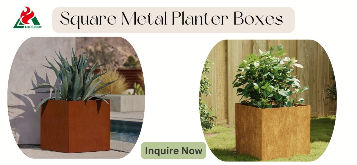 Square rusted steel planter boxes 