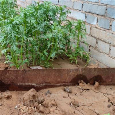 Elegant corten steel edging for garden