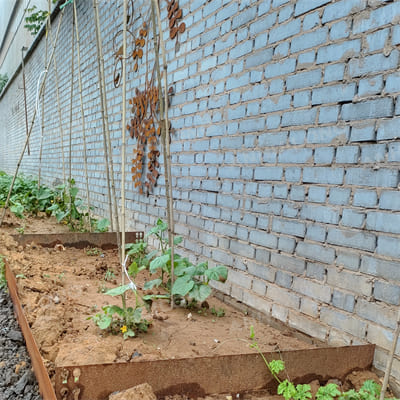 Safe rusted steel garden edging landscape architecture company